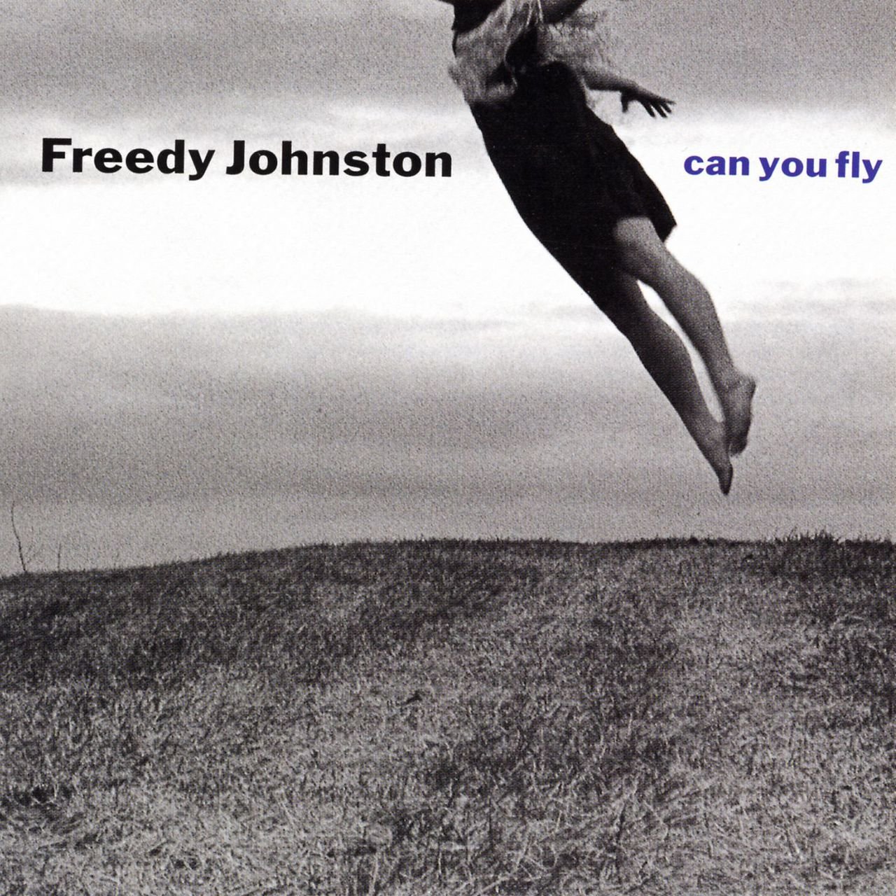 Can You Fly Freedy Johnston
