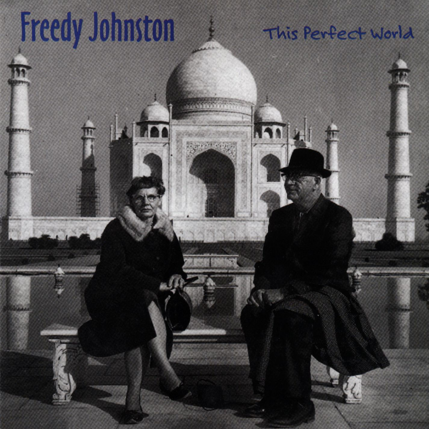 This Perfect World Freedy Johnston