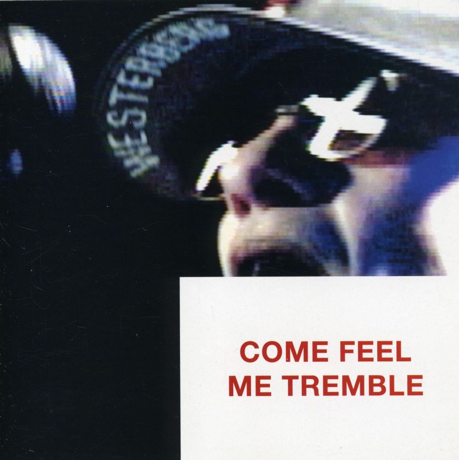 Come Feel Me Tremble Paul Westerberg review