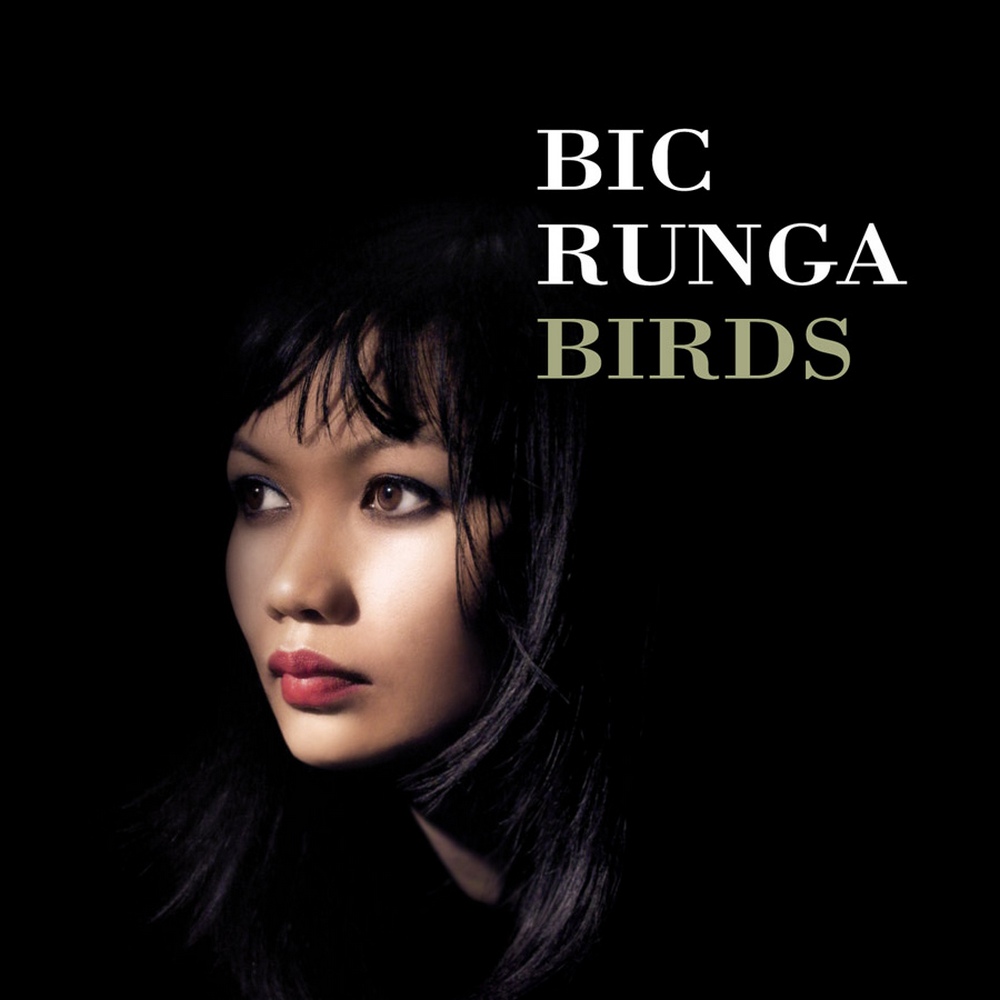 Bic Runga Birds