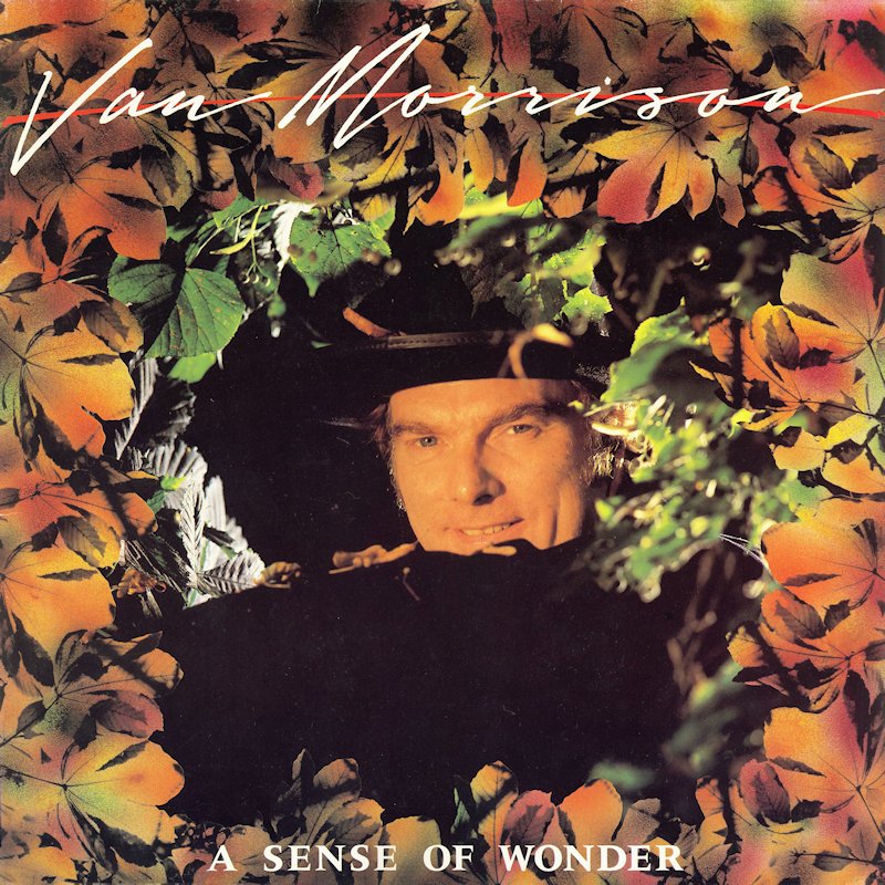 Van Morrison A Sense of Wonder