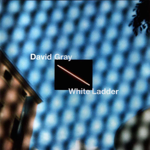 David Gray White Ladder