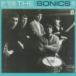 the-sonics-here-are-the-sonics