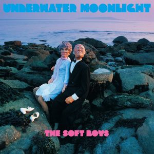 The Soft Boys Album Reviews