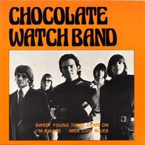 chocolate-watchband-sweet-young-thing